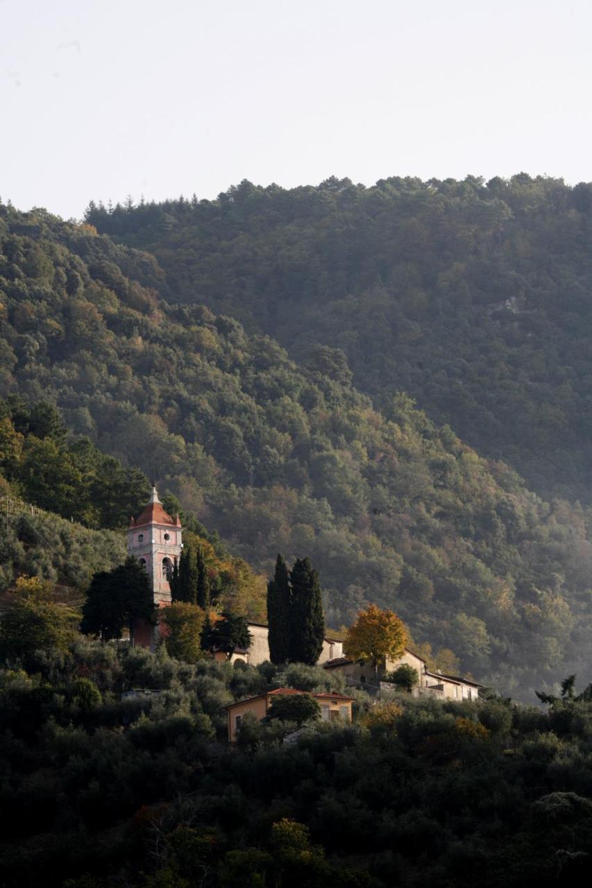 Villa il Gelsomino Lucca Esterno foto